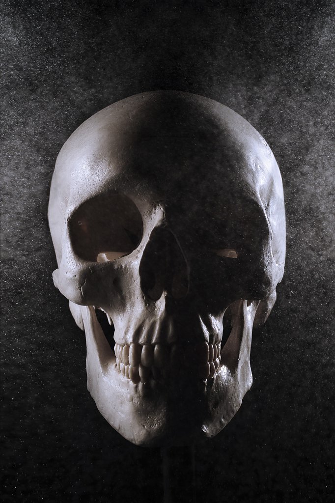 skull.jpg