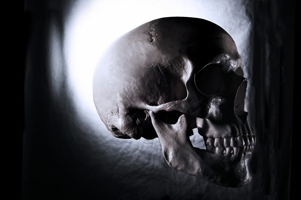 skull2.jpg