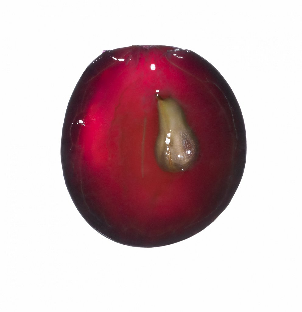 Syrah.jpg