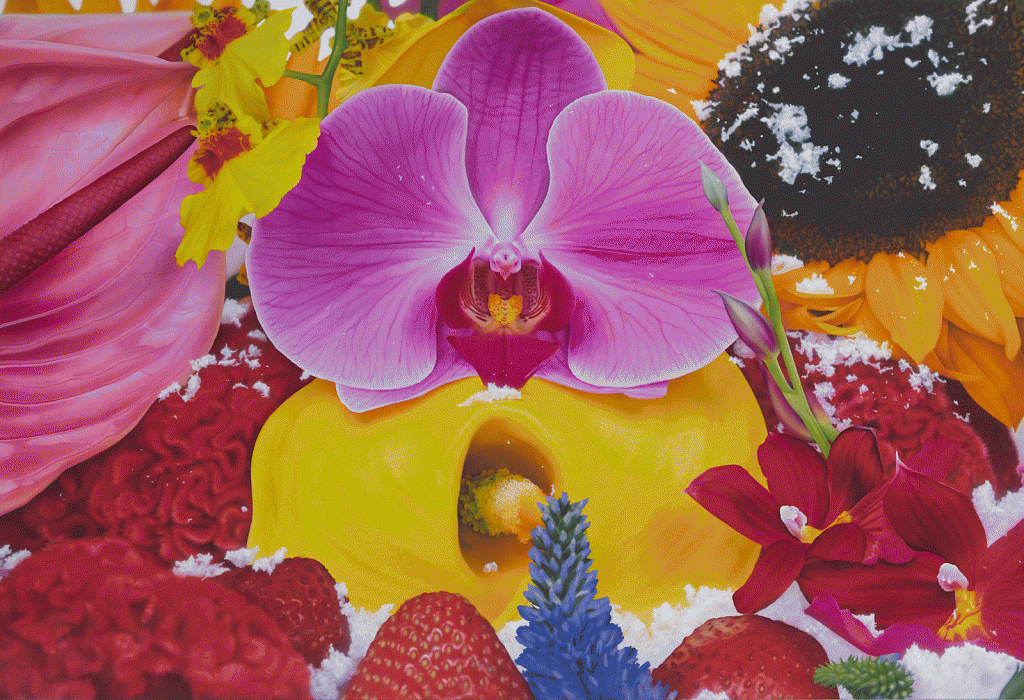 NaFin1-IRIS.gif